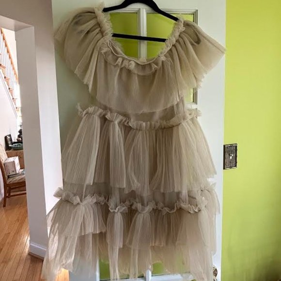 H&M Tulle Ruffle Dress NWT Size Small - Picture 3 of 5